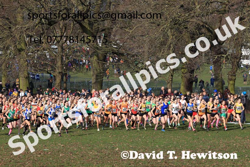 Womens Under-17s, 2024 CAU Inter Counties Cross Country Champs., Wollaton Park, Nottingham. Photo: David T. Hewitson/Sports for All Pics